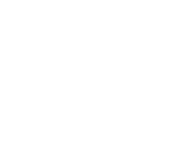 TVS Image